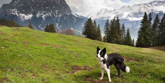 Viaggio di 7 giorni nelle Dolomiti