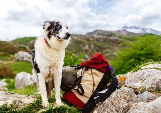 Trekking in Val D'Ossola